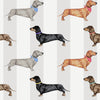 Dachshund Wallpaper Natural Stripe